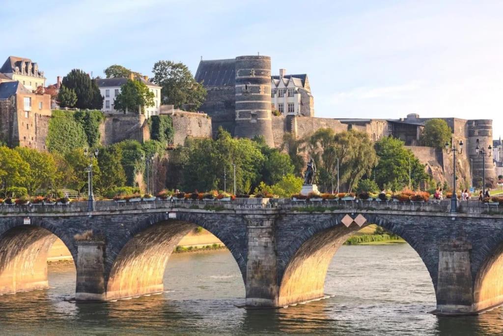 Angers Centre- Gare - Chateau - Duplex 2 Chambres Esterno foto